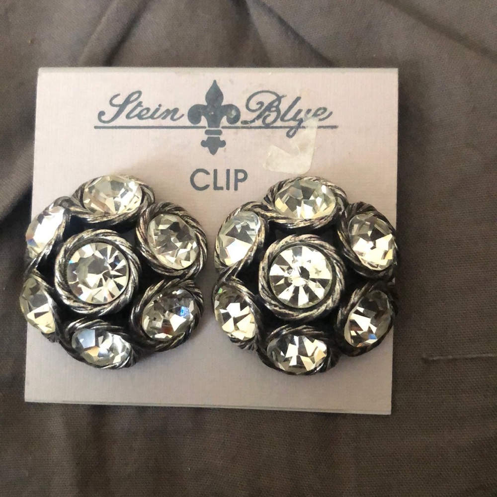 Stein Blye Clip-on Earrings